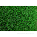 Single Silk Curl 4mm Nylon Bear Aging Fake / Synthetic Soccer Field Turf Artificial Lawn